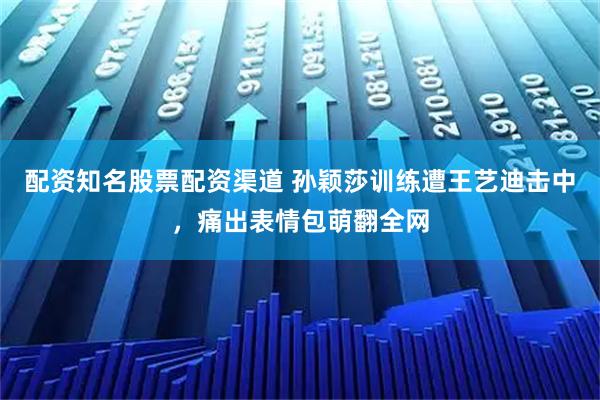 配资知名股票配资渠道 孙颖莎训练遭王艺迪击中，痛出表情包萌翻全网