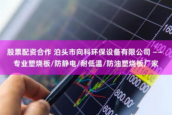 股票配资合作 泊头市向科环保设备有限公司 —— 专业塑烧板/防静电/耐低温/防油塑烧板厂家