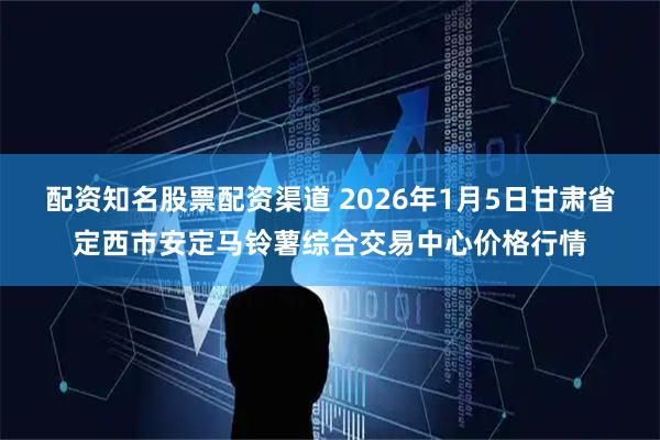 配资知名股票配资渠道 2026年1月5日甘肃省定西市安定马铃薯综合交易中心价格行情